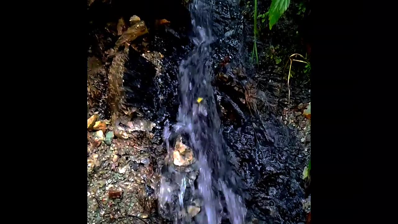 #jarna#innepal#jarnny#