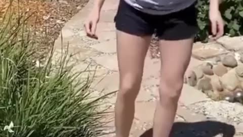 The end 😂😂😂 #viral #shorts #fails #funny #comedy #fun 31