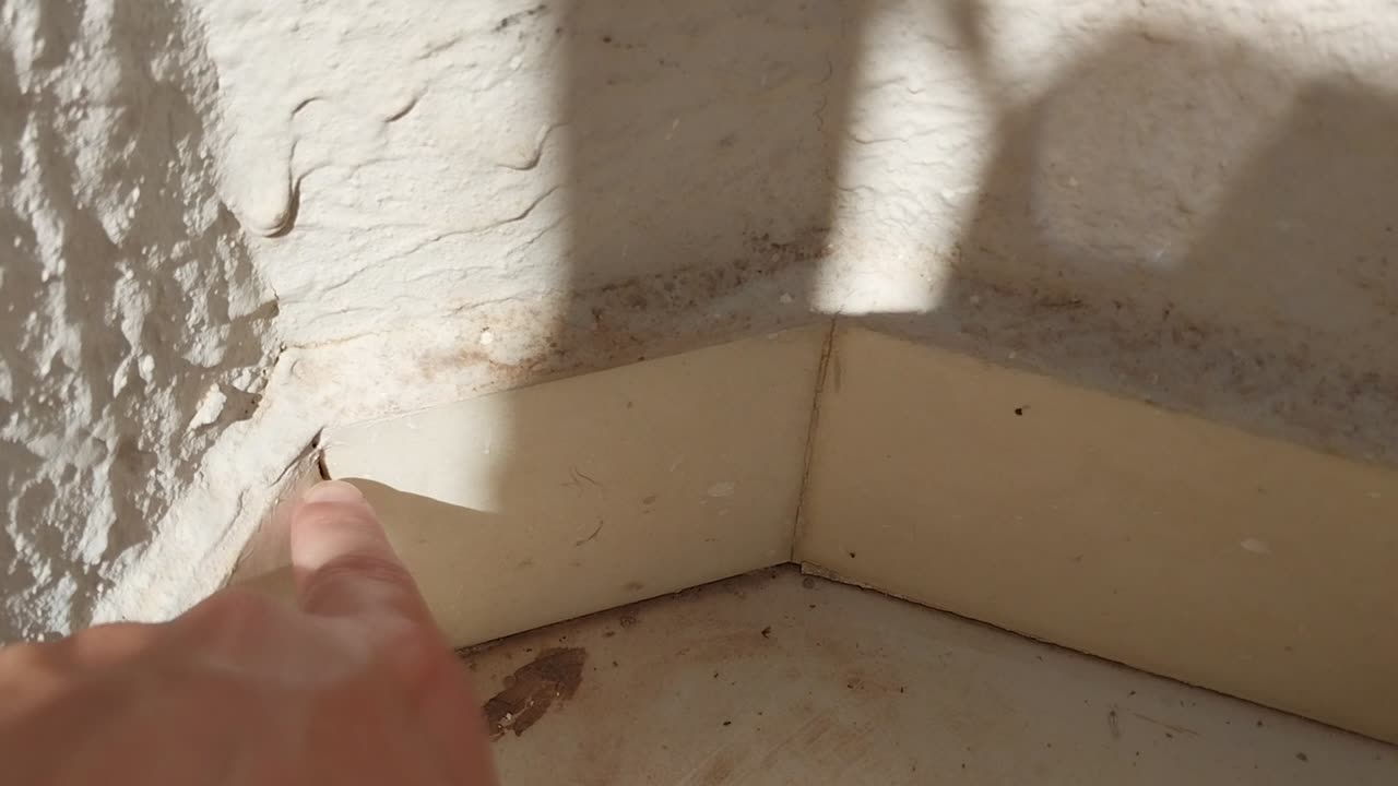 Acabar com formiga - Acabar com formiga de açúcar - Veneno para formiga - Formiga em casa