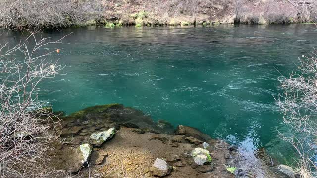 Crystal Clear Blue Green Metolius River – Central Oregon