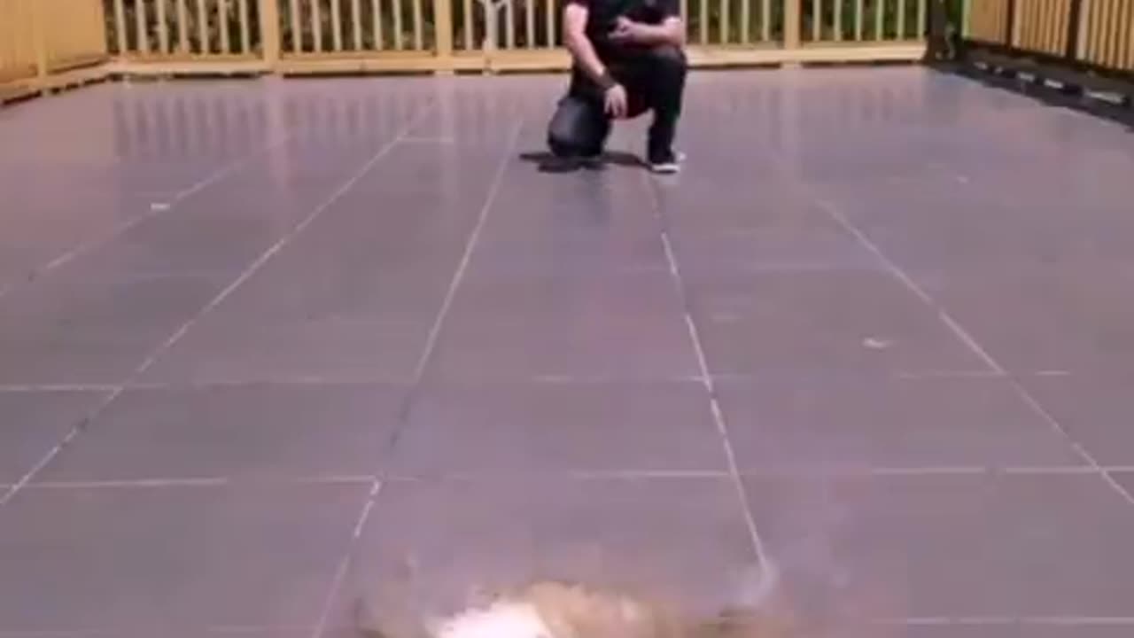 Impressive skills