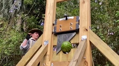 Testing the Guillotine