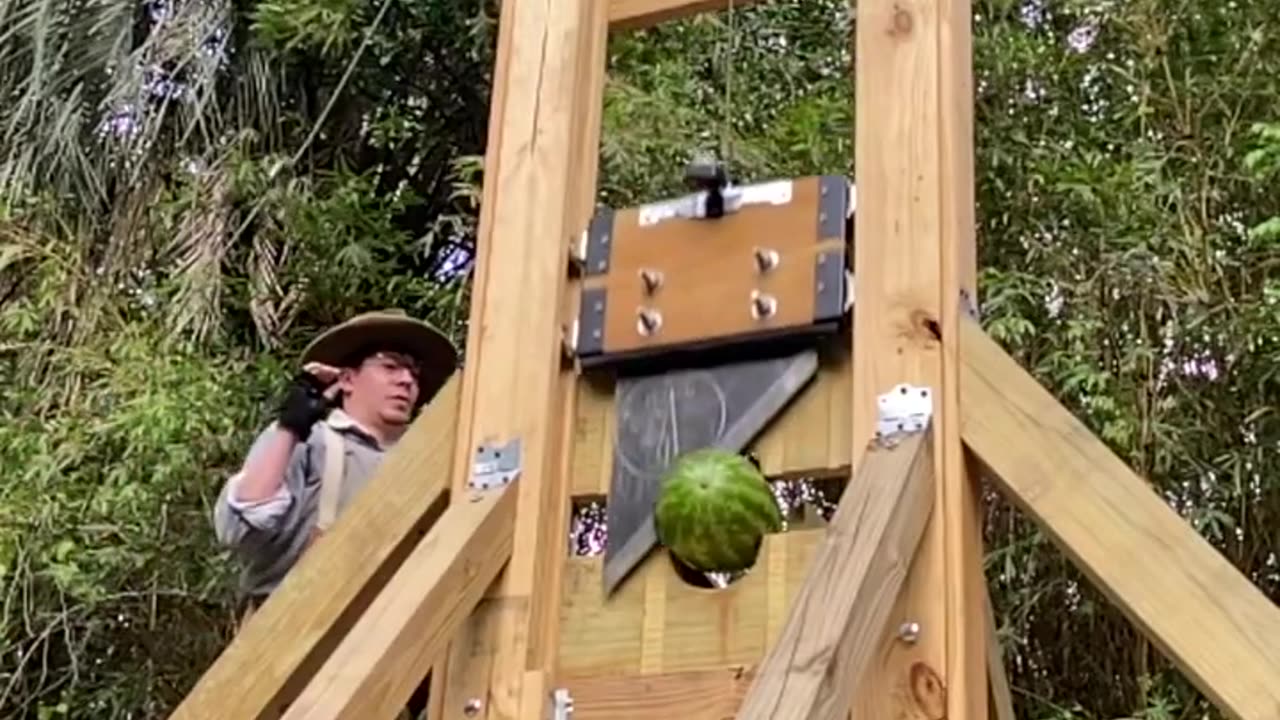 Testing the Guillotine