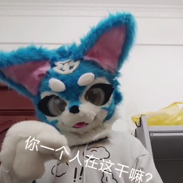 Furry Douyin #19