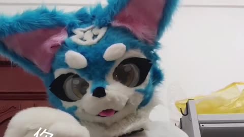 Furry Douyin #19