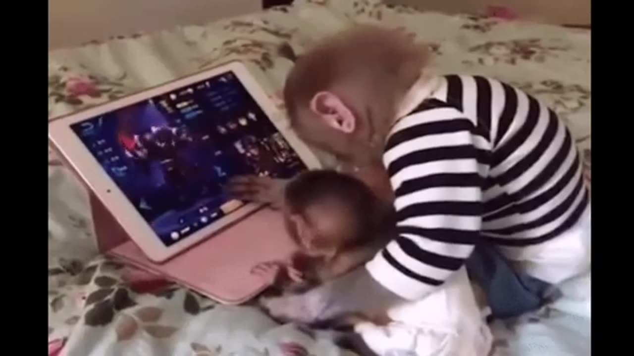 Funniest Monkey