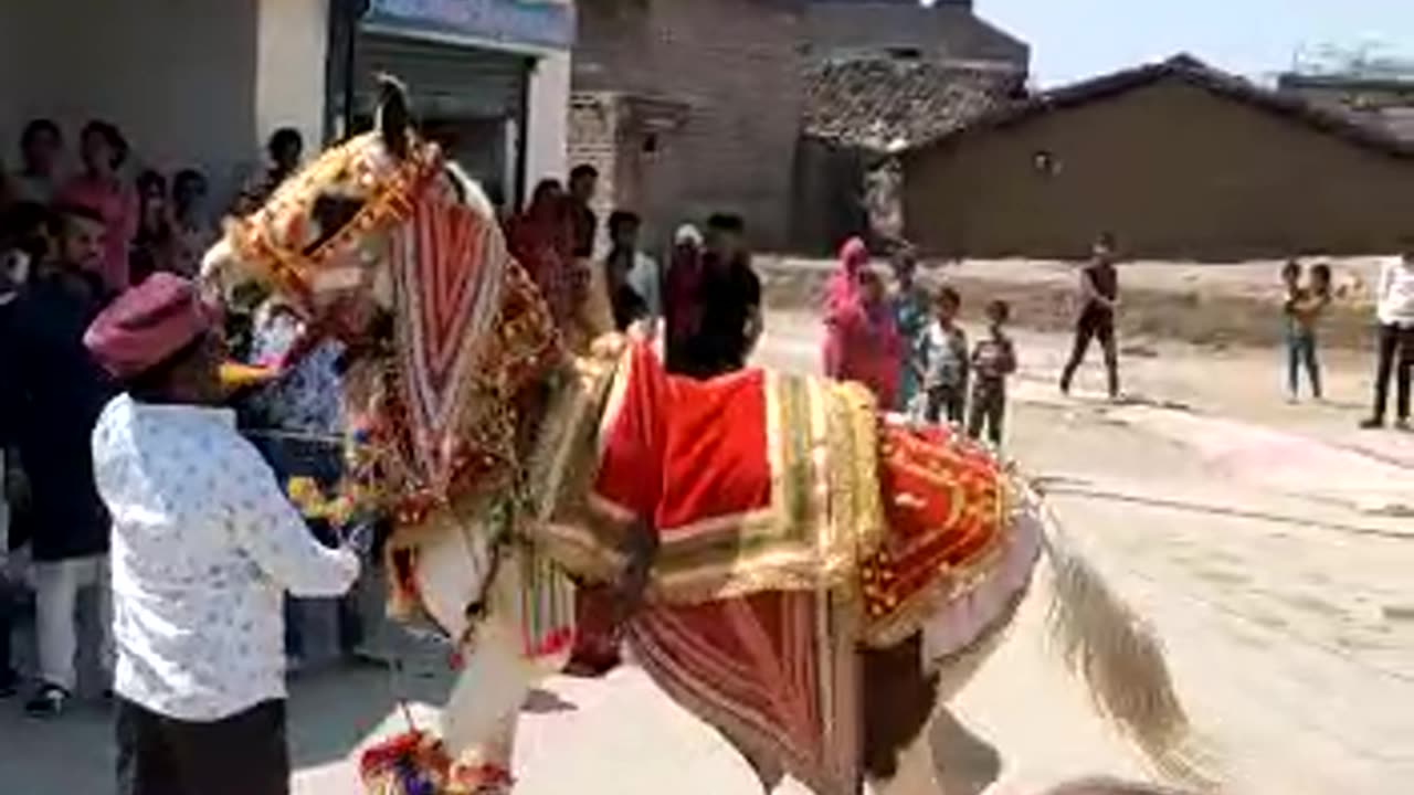 Horse dancing on drum