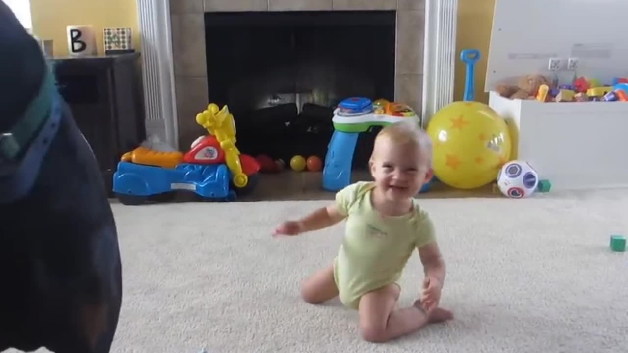 Doberman playing with cute Baby