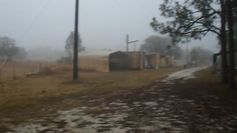 Foggy morning at #VenusRanch