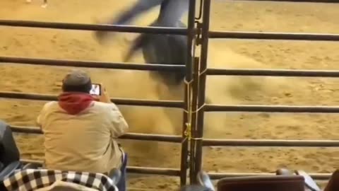 Bull make woman flying #funny #comedy #trending #viral