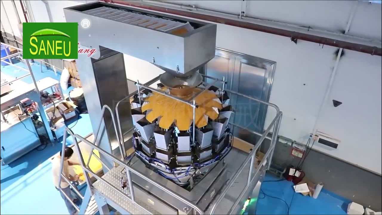 Saneu automatic packing machine