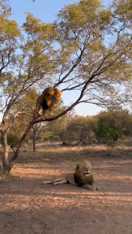 I stay in car and take pictures from there