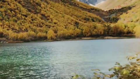 Adventure Video