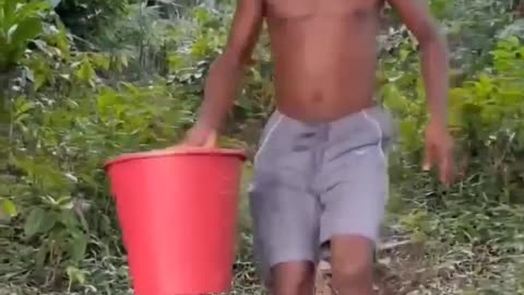 the most crazy ð¤£ð¤£ #funny #viral #shorts