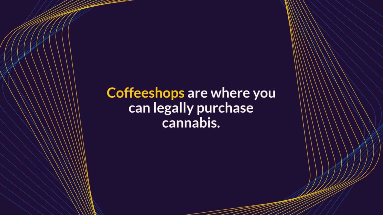 Welcome to Amsterdam's coffeeshops