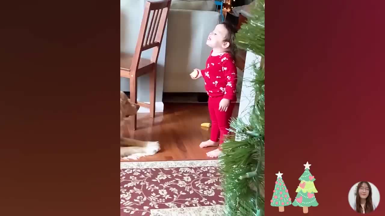 Christmas Baby Funny Fails Compilation 2022 || 5-Minute Fails