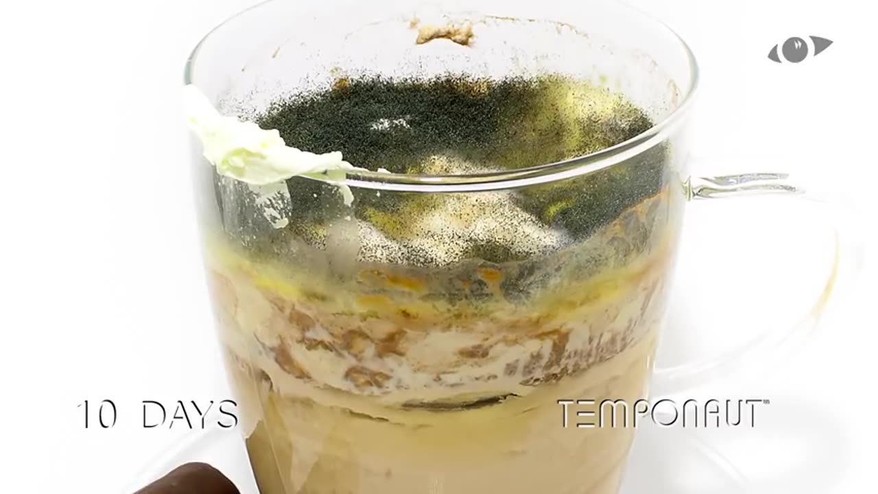 Hot Chocolate Time-Lapse