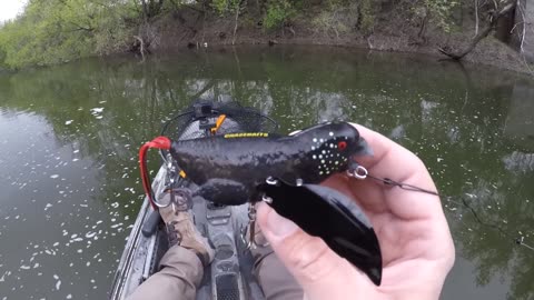 Fishing A Bird Lure For River BEASTS!