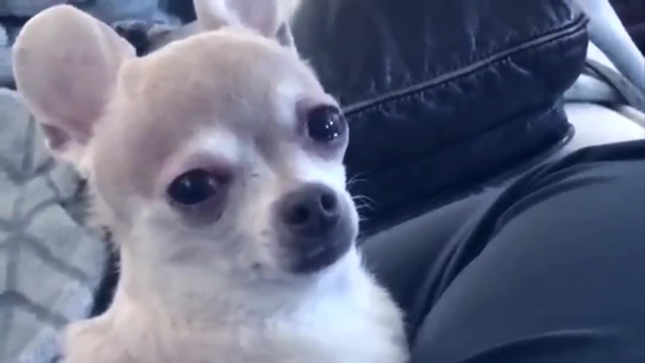 When Guts Theme Plays