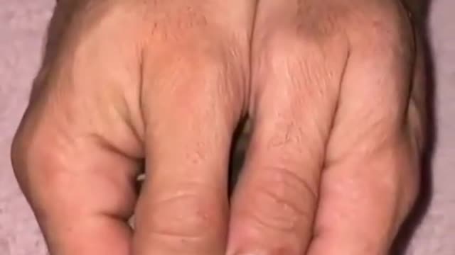 Cute Small Cat In a Hand..