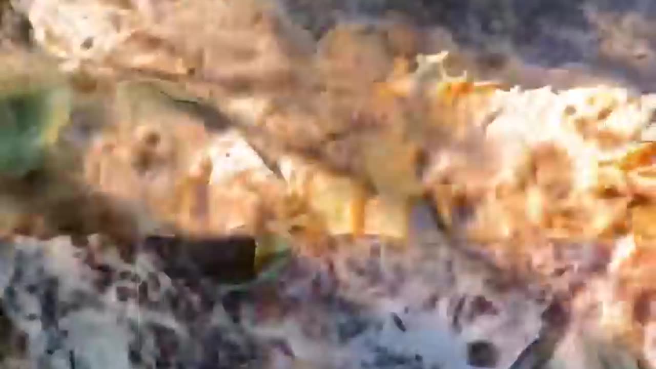 Breaking 50+ glass bottles 😮💨..... oddly satisfying must watch 🙃🙃........