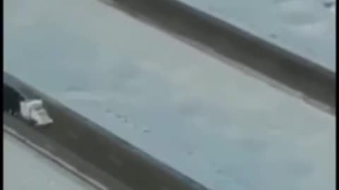 Aerial View of Freedom Convoy