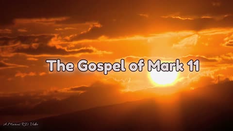 The Gospel of Mark 11