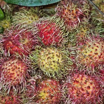 Rambutan season is here! Who's ready to taste this tropical delight? 🌴❤️