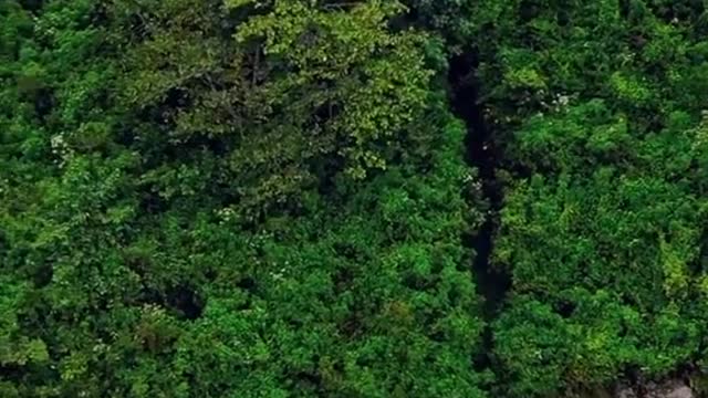 Pilkington view point Poonagala Sri Lanka | sri lankan eliphant