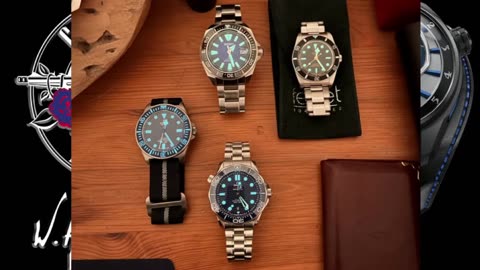 MONTRES DE LUXE : LE GUIDE ULTIME ( OMEGA , ROLEX , SEIKO ETC )