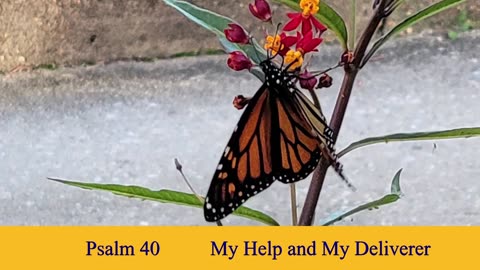 Psalm 40 - ESV Audio