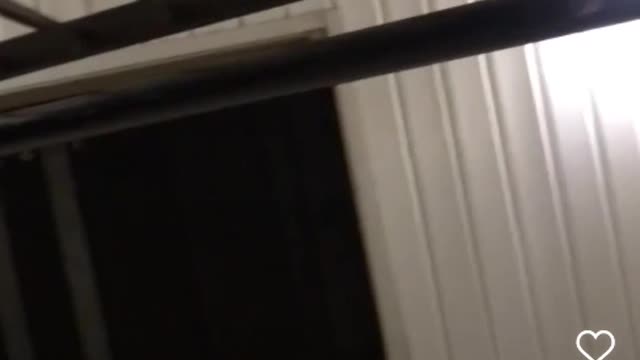 Child predator in NORTH CAROLINA