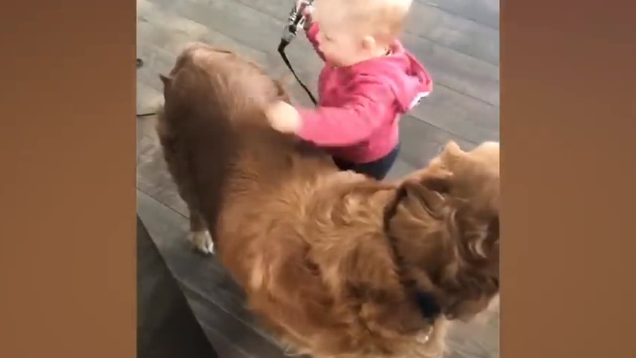 Adorable babies playing with dog