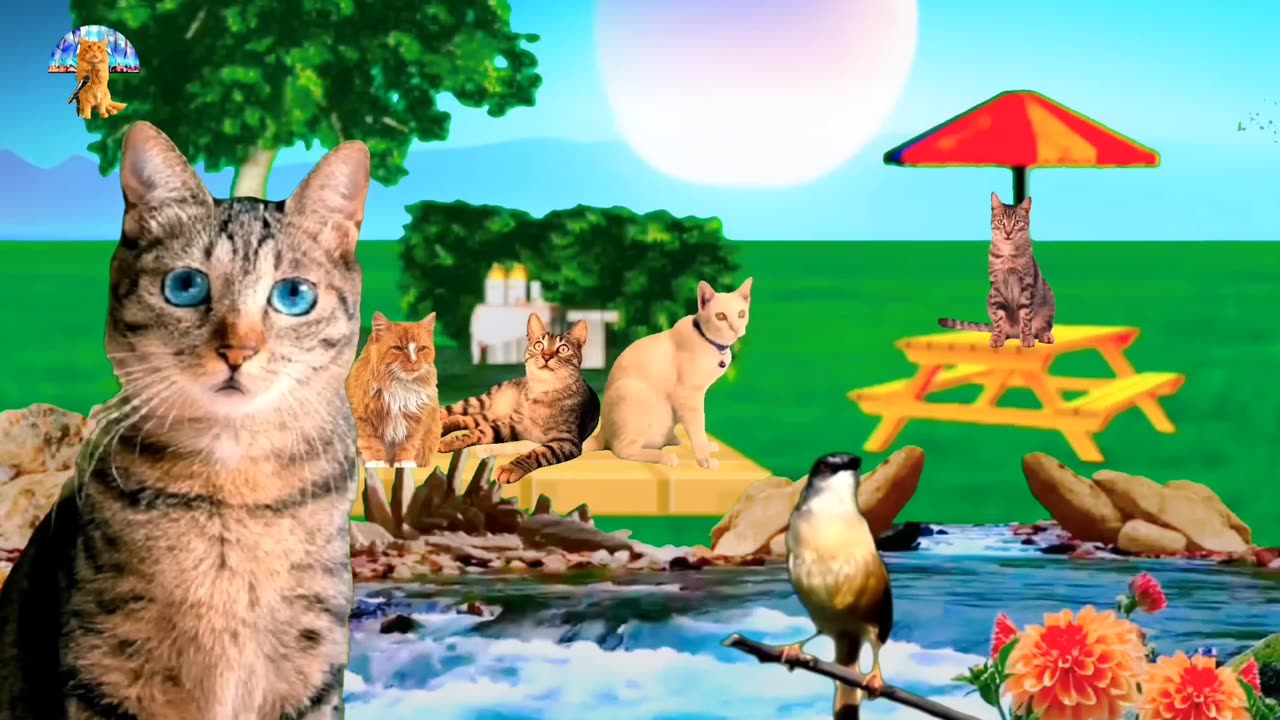 Koecing Sholawat Idol: Takbiran Cats in Serene Nature with Melodious Birds