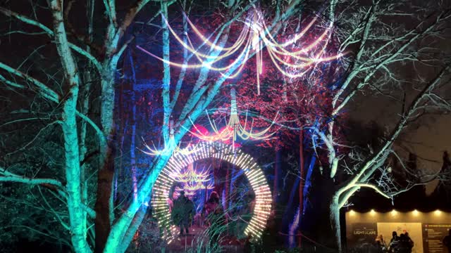 Chicago Botanic Garden Lightscape - 2022: A Look at the New Lightscape