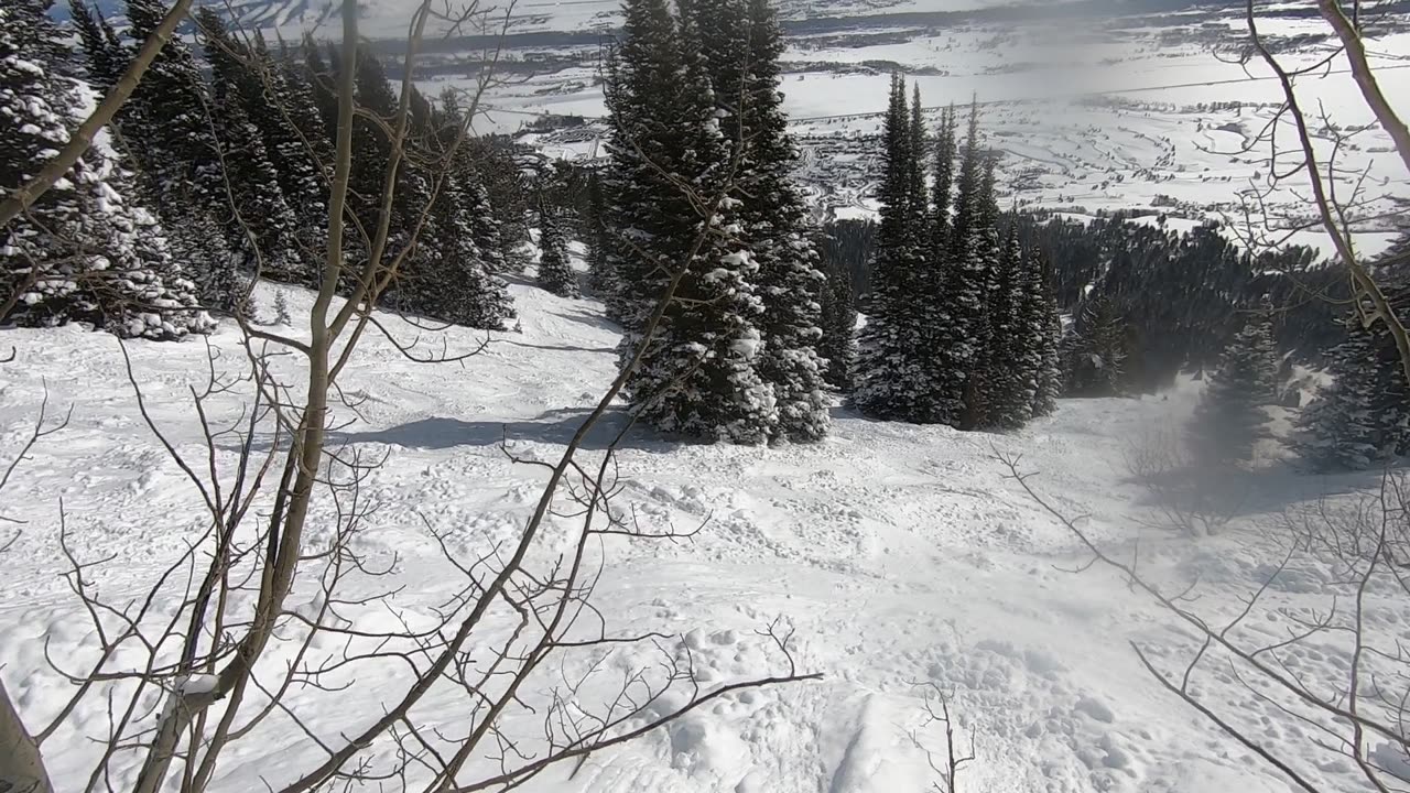 Jackson Hole Hobacks