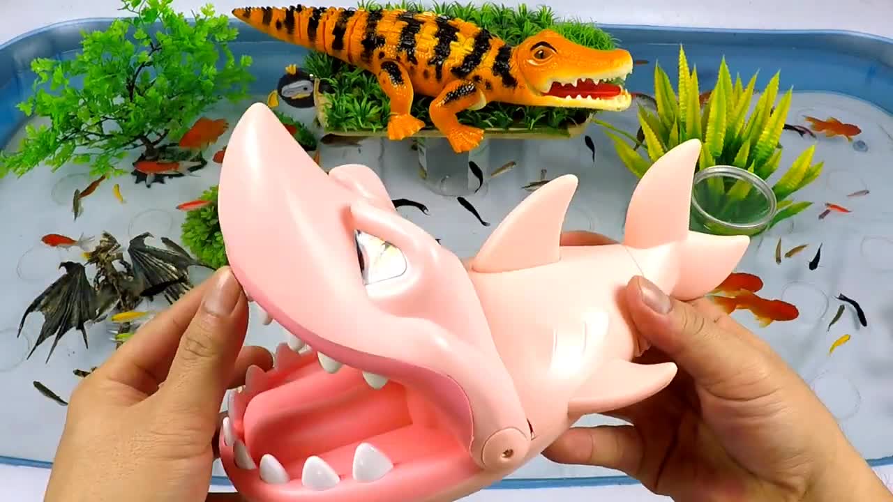 Cute Animals, Running Crocodile, Sharp Toothed Shark, Wolf Fish, Goldfish, Tiger Fish, Crab, Carp