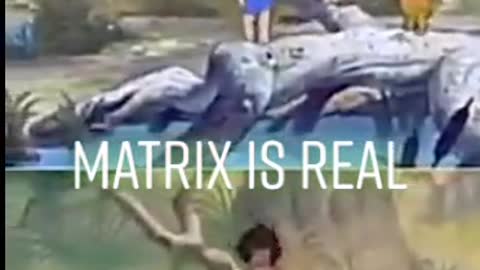 Matrix Is Real