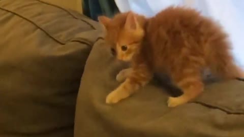 Don’t mess with me