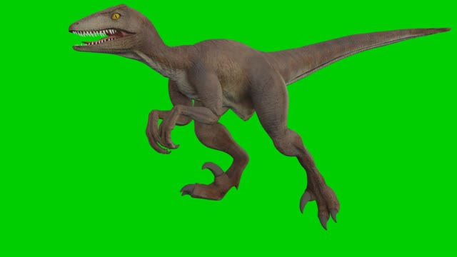 Dinosaur