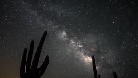 Art Bell MITD - Open Lines - Scott Free Line
