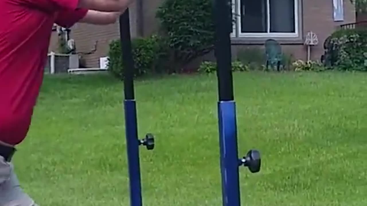 Funny video | Try Not To Laugh