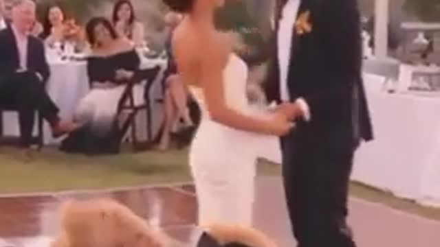 Newlywed Couple’s Pet Dog Crashes First Dance At Their Wedding, Steals The Show