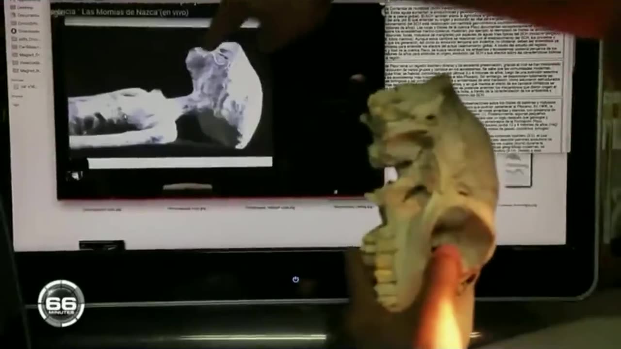 NASCA ALIENS IN MEXICO THEIR ANATOMY DISCOVERED AND SHOWN TO THE WORLD