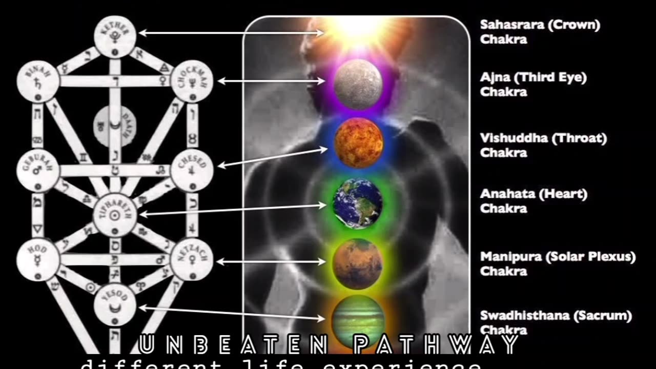 The Tree of Life by Deepfake Joe Rogan