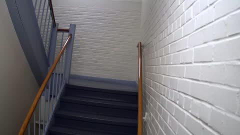 3868FHOB01Stair5_2021-01-05_02h40min00s503ms.mp4