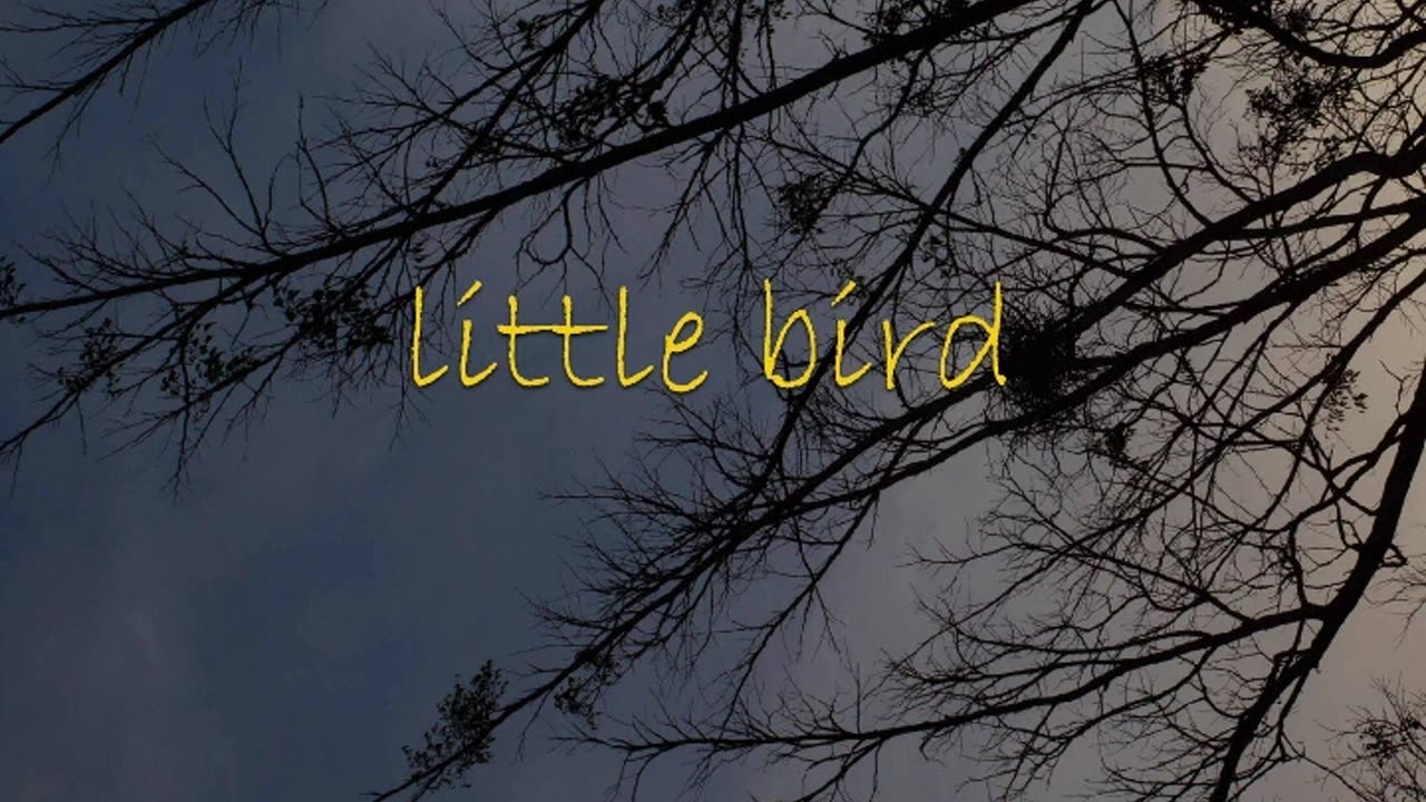 N.o.t Vince- Little Bird (Official Audio)