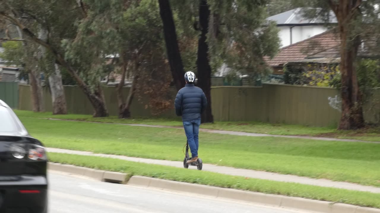 Electric Scooter