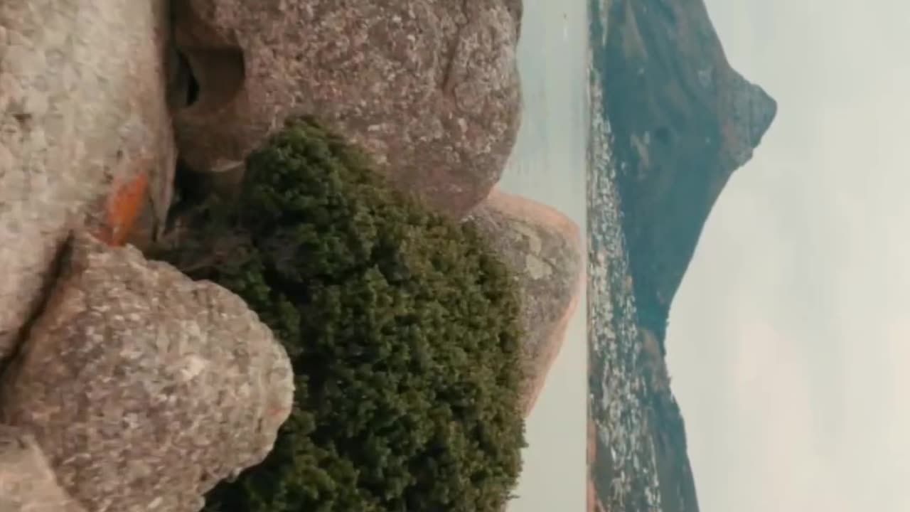 Bird eye view