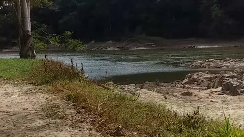 22.6.2024 The Barron River, Kuranda (5)